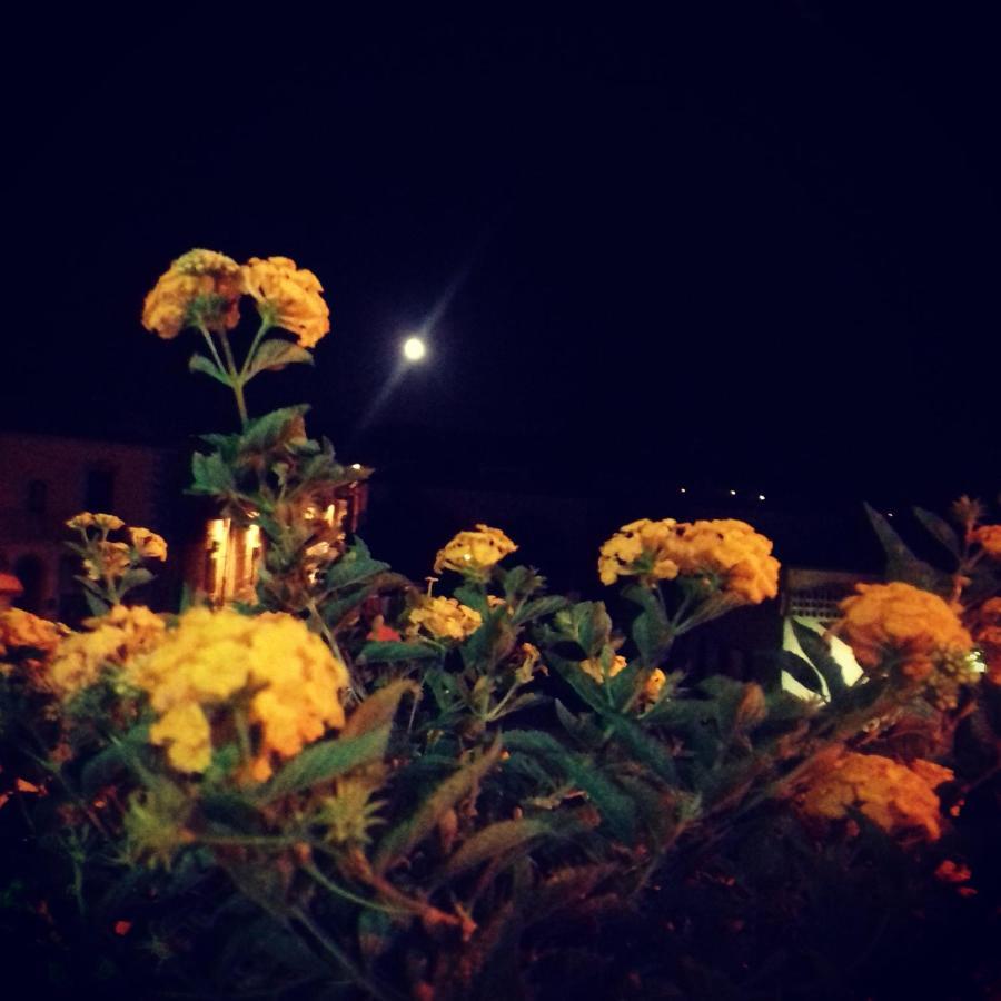 Locazioni Brevi La Rosaviola Guest Rooms เตวลาดา ภายนอก รูปภาพ