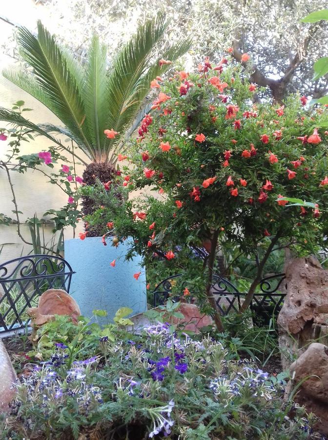 Locazioni Brevi La Rosaviola Guest Rooms เตวลาดา ภายนอก รูปภาพ